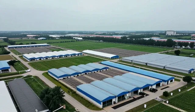 小程序商城性能优化与适用场景分析